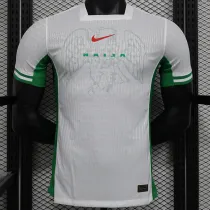 24/25 Nigeria Home Player Version Soccer Jersey