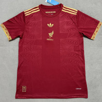 25/26 Mexico Concept Edition Maroon  Fans Soccer Jersey
