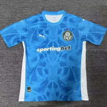 25/26  Palmeiras Goalkeeper Blue Fans Soccer Jersey