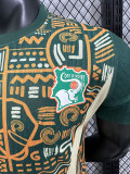 24/25 Cote d'Ivoire Green Special Edition  Player Version Soccer Jersey