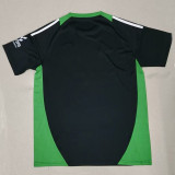 24/25 Burgos CF Third Fans Soccer Jersey(布尔戈斯)