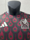24/25 Mexico Home Long Sleeve  Player Version Soccer Jersey(长袖球员)