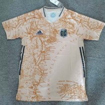 20/21 Argentina Khaki Commemorative Edition Fans Soccer Jersey
