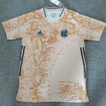 20/21 Argentina Khaki Commemorative Edition Fans Soccer Jersey