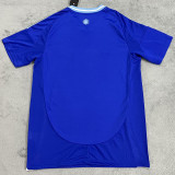 24/25 Argentina Away  Fans Soccer Jersey（V领）
