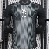 2025 Netherlands  Grey Goalkeeper Player Version Soccer Jersey