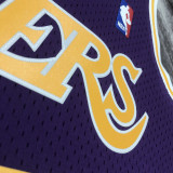 1998/1999 LAKERS ROOMAN #73 Purple Retro Top Quality Hot Pressing NBA Jersey(圆领）