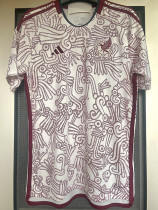 22/23 Mexico Away 1:1 World Cup Fans Soccer Jersey