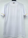 23/24 Santos FC Home 1:1 Fans Soccer Jersey (无广告版)