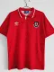 1992/1994 Wales Home Retro Soccer Jersey