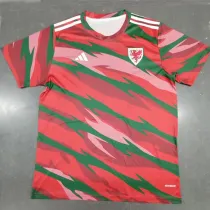 2024 Wales Red Training Short Sleeve