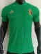 2025 Belgium Green  Player Version  Polo Shirt