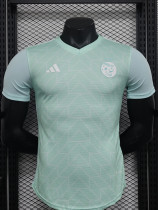 2024 Algerian Light Green Special Edition Player Version Soccer Jersey