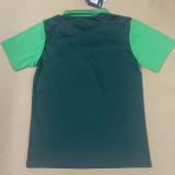 24/25 Palmeiras  Green Polo shirts