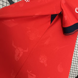 24/25 Osasuna Home Fans Soccer Jersey