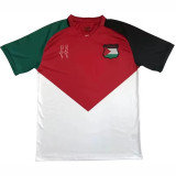 24/25 Palestine National Flag Special Edition  Soccer Jersey