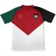 24/25 Palestine National Flag Special Edition  Soccer Jersey