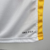 WARRIORS MEXICO #30 White Edition Top Quality Hot Pressing NBA Jersey (V领）