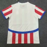 24/25 Paraguay  Home  Fans Soccer Jersey