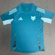 25/26 Cruzeiro Green  Fans Training shirts
