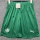25/26 Palmeiras Away Shorts Pants