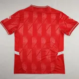 24/25 Palestine Home Fans Soccer Jersey