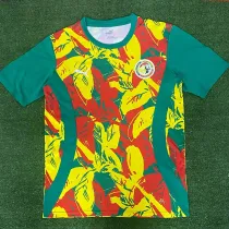 24/25 Senegal Green Puzzle Training Shirts