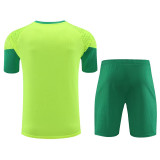 24/25  Palmeiras Grass Green Training Short Suit （草绿）