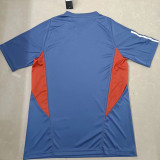 24/25 Cruzeiro Light Blue Training shirts（V领）
