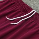 24/25  PSG Sky Blue Player version Half Pull Tracksuit  (球员版、半拉链)