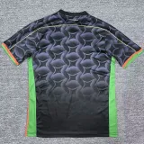 24/25  Venezia FC Home Fans Soccer Jersey