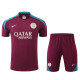 24/25  PSG  Maroon Training Short Suit