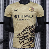 24/25 Man City Khaki Special Edition  Player Version Soccer Jersey