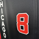 23/24 BULLS LAVINE #8 Black City Edition Top Quality Hot Pressing NBA Jersey