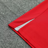 24/25 LIV Red Gray Shoulder  Tank top Training Shirts（灰肩）