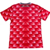 24/25 Palestine Red (MAROC) Special Edition Fans Soccer Jersey