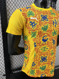 24/25 Ghana Yellow  Player Version Pre Match Training Shirts