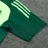 24/25  Mexico Green Training Short Suit
