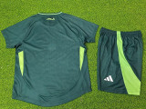 24/25  Algeria Away Version  Kids Soccer Jersey球员