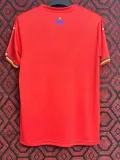 24/25 Romania Away Fans Soccer Jersey