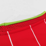2015/2016  Wales  Home Retro Soccer Jersey