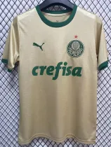 24/25 Palmeiras Third Fans Soccer Jersey
