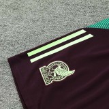 24/25  Mexico maroon Tank top and shorts suit