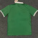 24/25 Nigeria Home Fans Soccer Jersey