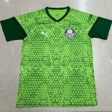 24/25 Palmeiras Grass Green Training shirts