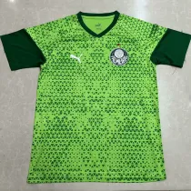 24/25 Palmeiras Grass Green Training shirts