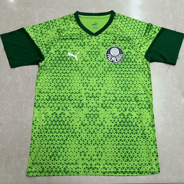 24/25 Palmeiras Grass Green Training shirts