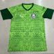 24/25 Palmeiras Grass Green Training shirts