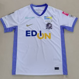 25/26 Sanfrecce Hiroshima Away Fans Soccer Jersey 广岛三箭