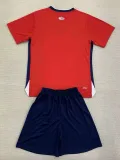24/25  Lille Home  Kids Soccer Jersey